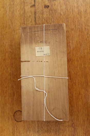 Media type: image;   Special Collections 4238 shows cataloged_item 4239 shows cataloged_item 4240 shows cataloged_item 4241 shows cataloged_item 4242 shows cataloged_item 4243 shows cataloged_item 4244 shows cataloged_item 4245 shows cataloged_item 4246 shows cataloged_item 4247 shows cataloged_item 4248 shows cataloged_item 4249 shows cataloged_item 4250 shows cataloged_item 4251 shows cataloged_item 4252 shows cataloged_item 4253 shows cataloged_item 4254 shows cataloged_item 4255 shows cataloged_item 4256 shows cataloged_item 4257 Description: Documentation photo of Wilder folder/label C1;